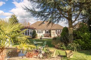 Photo 6- click for photo gallery